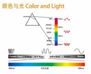 光與顏色：自然界萬(wàn)物的視覺(jué)基礎(chǔ)