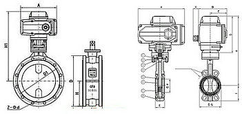電動襯膠蝶閥結(jié)構圖
